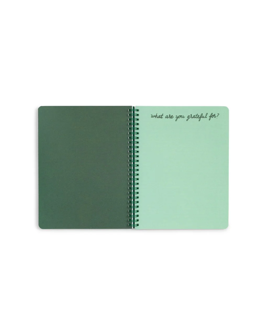 Rough Draft Mini Notebook - Emerald Super Bloom - Image 3