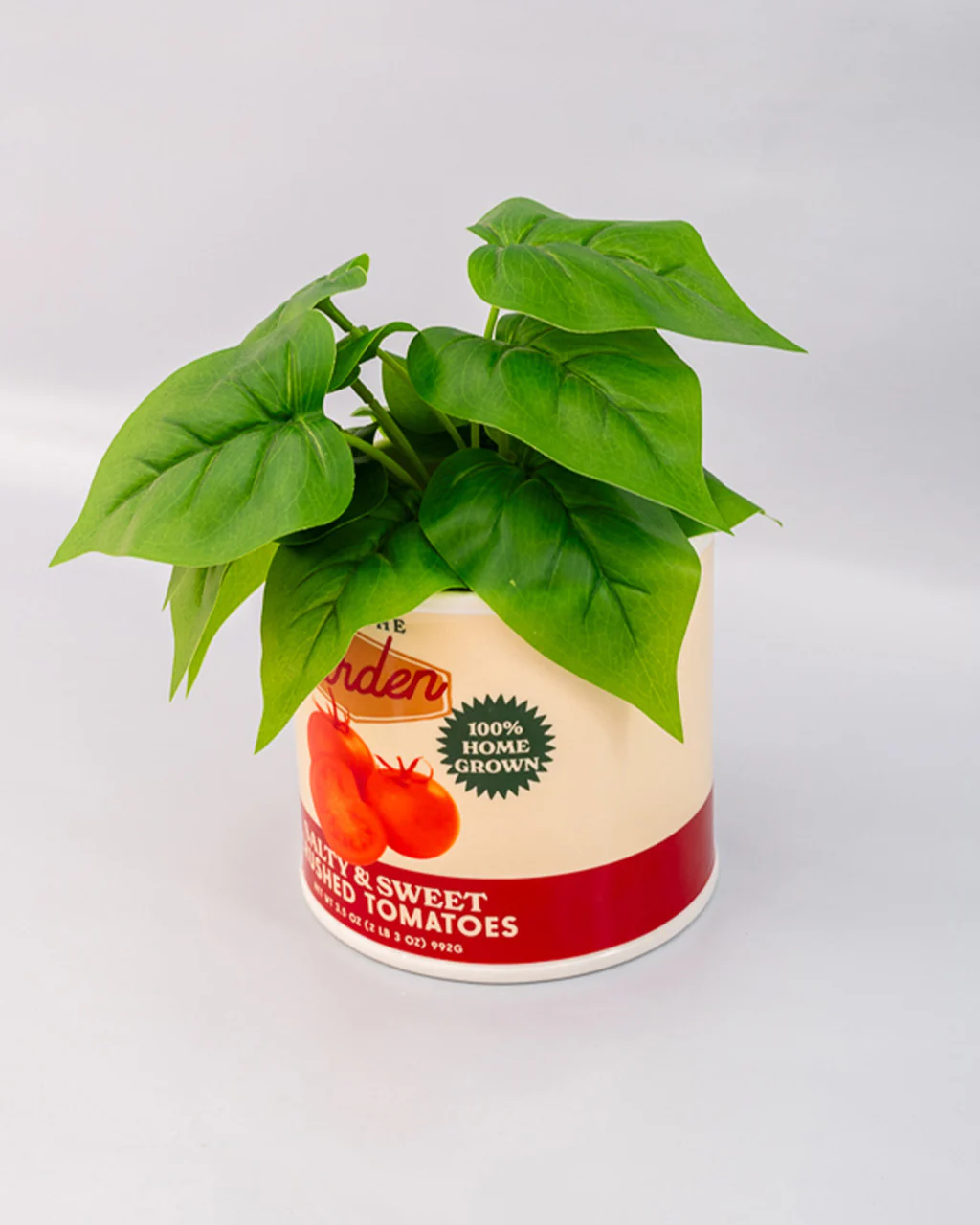 Tomato Can Ceramic Planter - Image 6